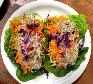   at Happy Healthy Human in Indian Harbour Beach