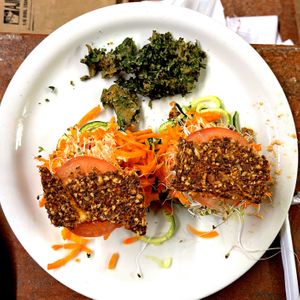   at Happy Healthy Human in Indian Harbour Beach