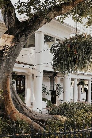 Historic tree to compliment Fort Lauderdale's oldest landmark. at Jonny NoBones at the Old Riverhouse Vegan Village in Fort Lauderdale