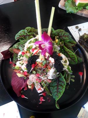 Probably THE SEXIEST dish--ceviche.  You will dive right into it and eat the whole thing.  Sure, you could share, but why? at Jonny NoBones at the Old Riverhouse Vegan Village in Fort Lauderdale