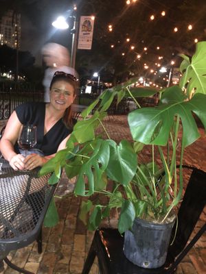 Couldn’t leave their plant room without purchasing this beauty!  at Jonny NoBones at the Old Riverhouse Vegan Village in Fort Lauderdale