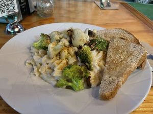 Alfredo pasta. Delicious!  at BaoVegan in Cancun