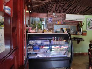  at BaoVegan in Cancun