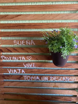 Beautiful interior   at BaoVegan in Cancun