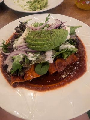 Red sauce enchiladas at BaoVegan in Cancun