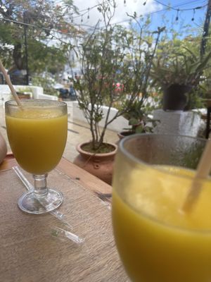   at BaoVegan in Cancun