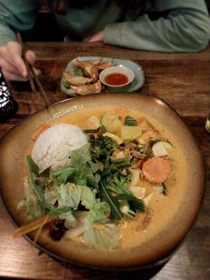 red curry and gyoza at Comcha Vegan in Berlin