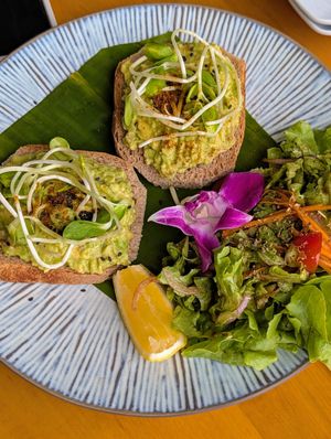 Avocado smashed toast at Bluerama in Koh Phangan