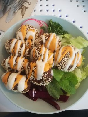 Large Falafel plate at Tahina Bite in Budapest
