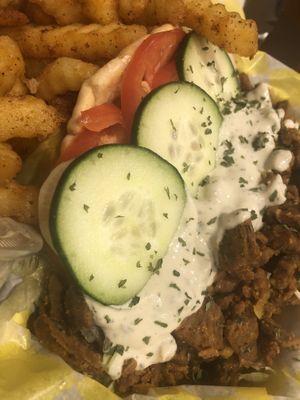 Steak gyro with fries  at Quannies Vegan Dishes  in Fort Lauderdale