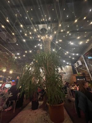   at Mazel Tov in Budapest