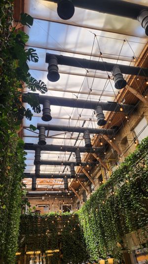  at Mazel Tov in Budapest