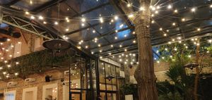 Décoration Végétale , Ruines at Mazel Tov in Budapest