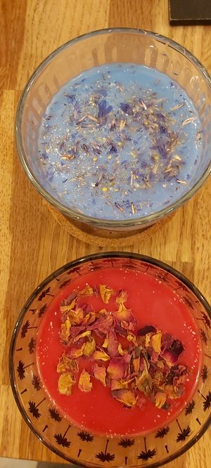  at La Plume Végétale in Aix-en-provence