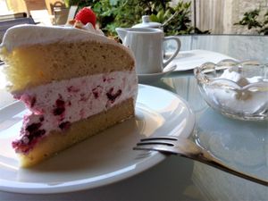 The frozen-raspberry-cake / Frozen-Himbeer-Torte at Geyer-Schloss Reinsbronn in Creglingen