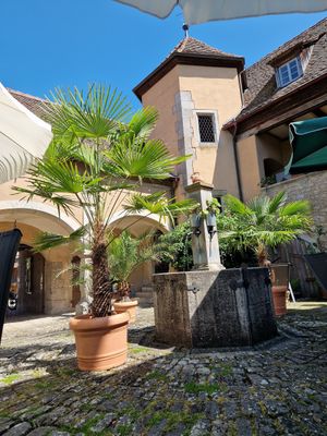  at Geyer-Schloss Reinsbronn in Creglingen