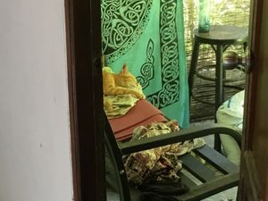 A vegan buffet for Buddha day at Orchid Spa in Koh Tao
