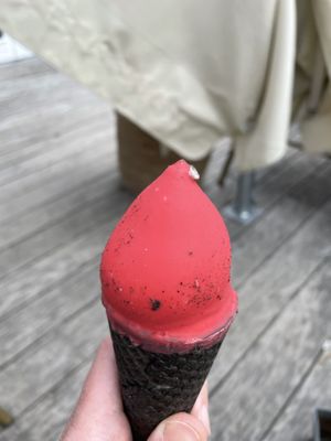 Vegan ice  at Strandcaféen in Broendby