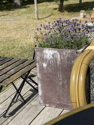 Terrace   at Strandcaféen in Broendby