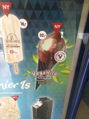 VegaNice vegan icecream at Strandcaféen in Broendby