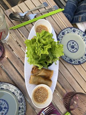 Nems   at Buja Vegetarien in Paris