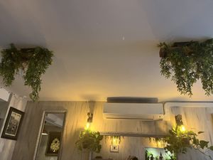   at Buja Vegetarien in Paris