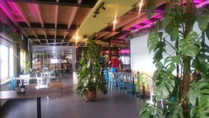 Overview of the restaurant with fancy lighting and houseplants  at Bouldergym BAZ in Zaandam