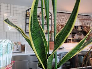  at Jajaja Mexicana - Hudson Yards in New York City