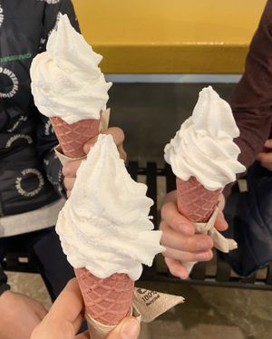 Vegan soft ice cream💖  at Florentina in Rotterdam