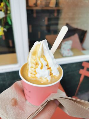  at Florentina in Rotterdam