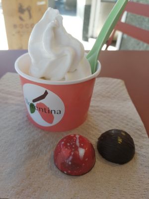 Soft serve + blackcurrant & coconut caramel praline at Florentina in Rotterdam