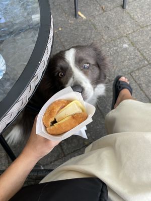   at Satama-Sanni in Lappeenranta