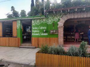  at Mercadella in Tepoztlan