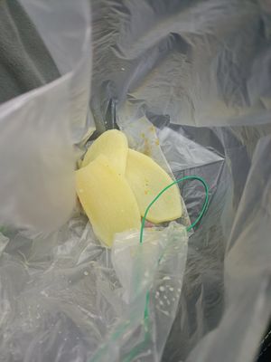 Look at the colour! It's literally RAW POTATOES! at Pine Tree Cafe 长春树 - Fortune Centre in Central Singapore