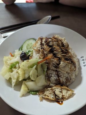 Chicken rice at Pine Tree Cafe 长春树 - Fortune Centre in Central Singapore