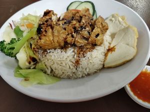 Chicken rice at Pine Tree Cafe 长春树 - Fortune Centre in Central Singapore