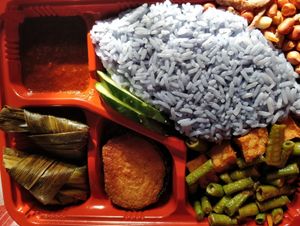 Nasi Lemak bento set - takeaway at Pine Tree Cafe 长春树 - Fortune Centre in Central Singapore