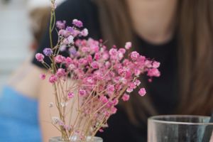 Flowers at Bepa in Split