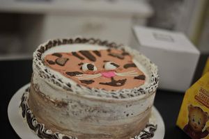 Custom Daniel Tiger birthday cake at Papa Ganache in Matawan