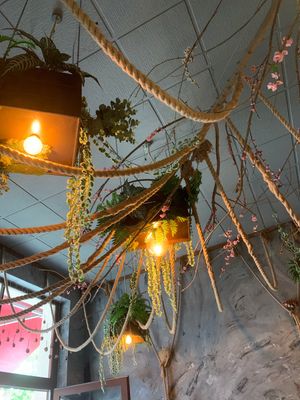 A taste of jungle   at Caphe HOA 2 in Berlin