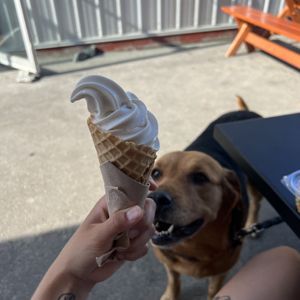Vanilla Soft Serve  at The Hwy Cafe in Pemberton
