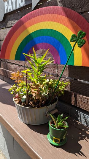 St. Paddy's Day at Little Barn Coffee House in Los Angeles