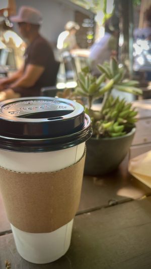 Matcha latte   at Little Barn Coffee House in Los Angeles