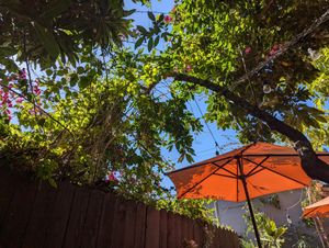  at Little Barn Coffee House in Los Angeles