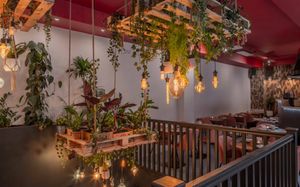 Our garden at Oliveira Kitchen in East London