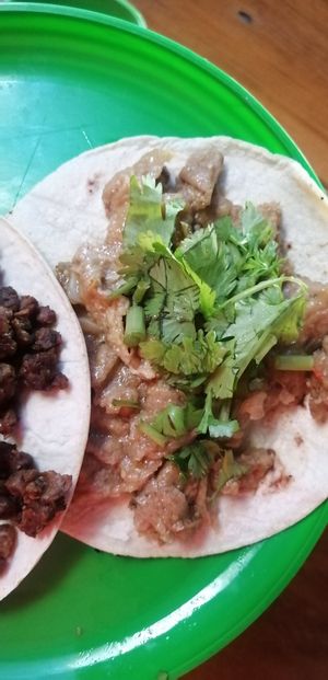  at Gopals - Vegetariano's in Cancun