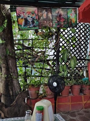  at Gopals - Vegetariano's in Cancun