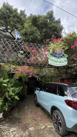   at Gopals - Vegetariano's in Cancun