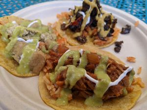 Taco Bundle with (front to back) Tinga, Chicharrón en Salsa Verde and Garlicky Mushrooms at Chilango PDX in Portland