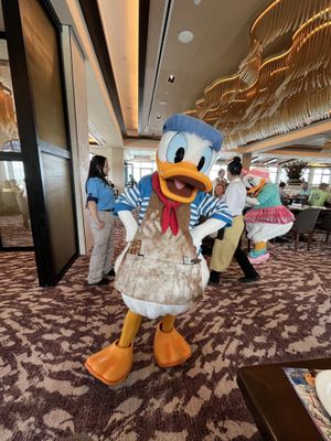 Meeting characters!  at Walt Disney World - Topolino's Terrace in Lake Buena Vista